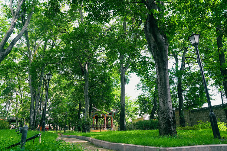 滇朴公园.jpg